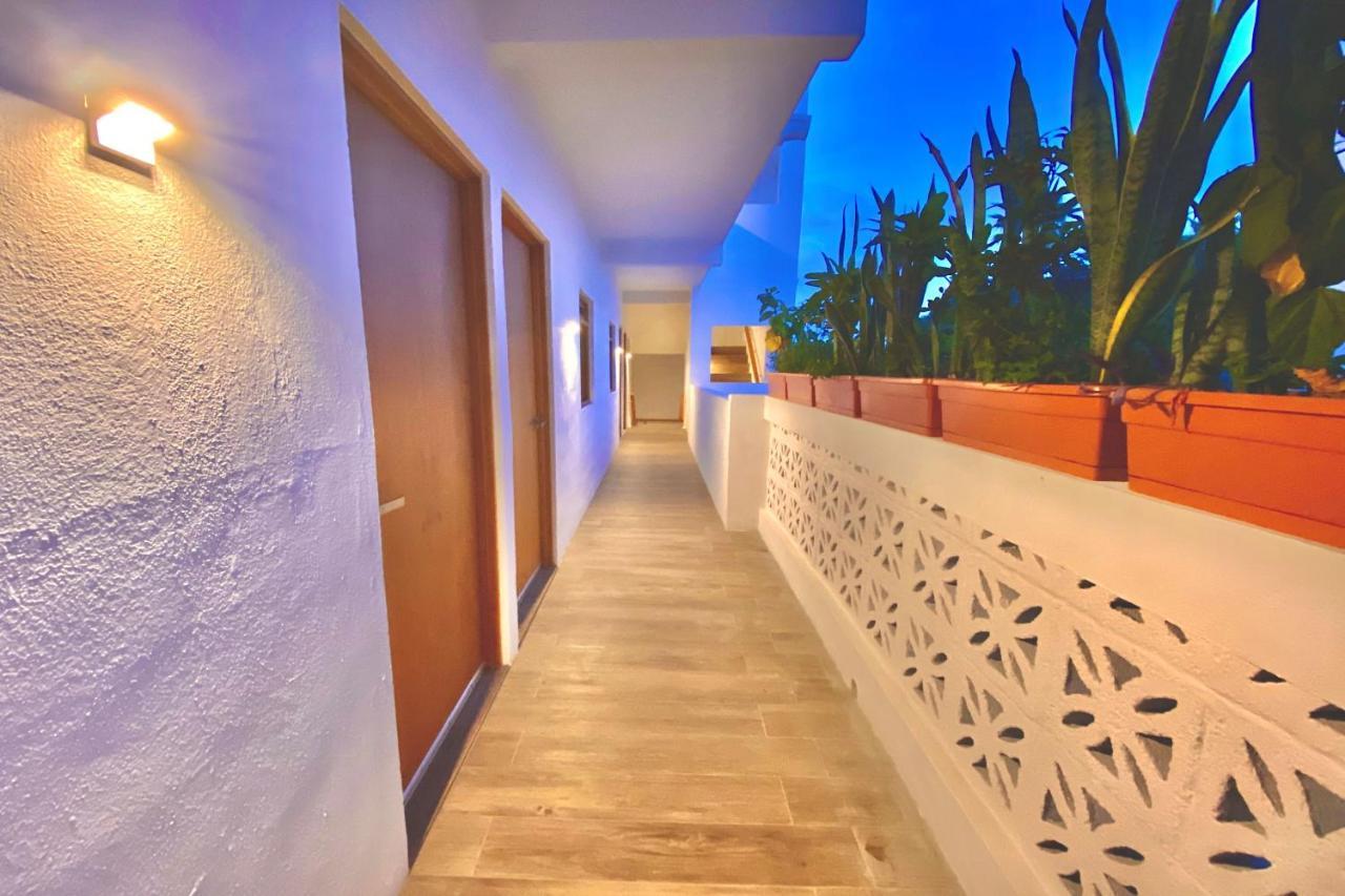 Casa Palo Verde Cabo San Lucas Exteriör bild